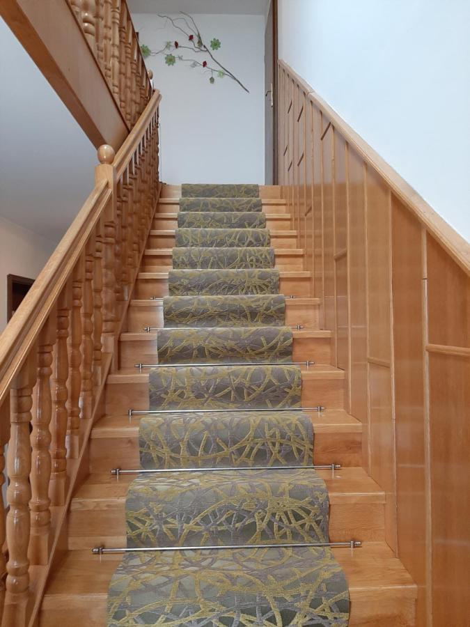 Apartmaji Tisa Moravske-Toplice Exterior photo